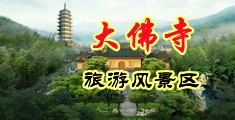 免费观看的操逼网站中国浙江-新昌大佛寺旅游风景区